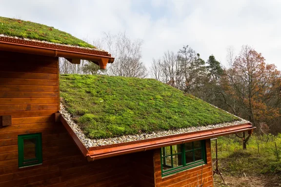 passive solar green roof green roof house